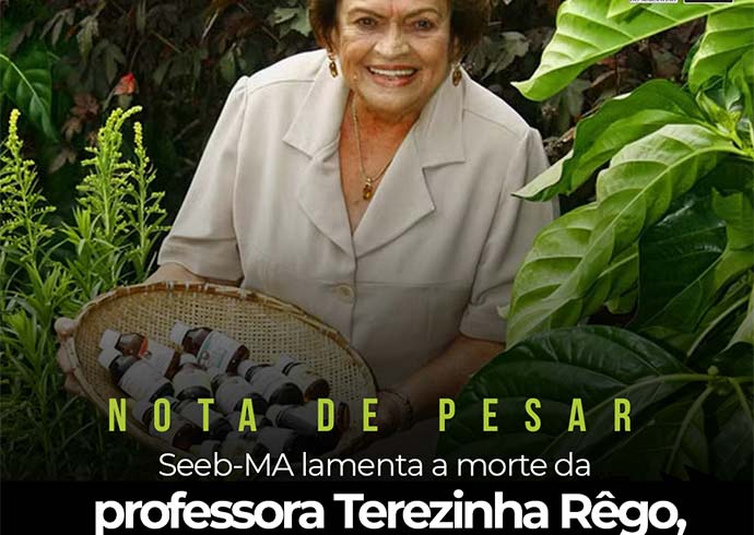 SEEB-MA lamenta a morte da professora Terezinha Rgo